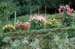 garten1.jpg (192385 bytes)