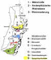 waelder.jpg (47325 bytes)